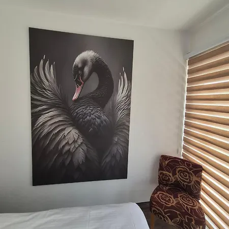 Black Swan アパート